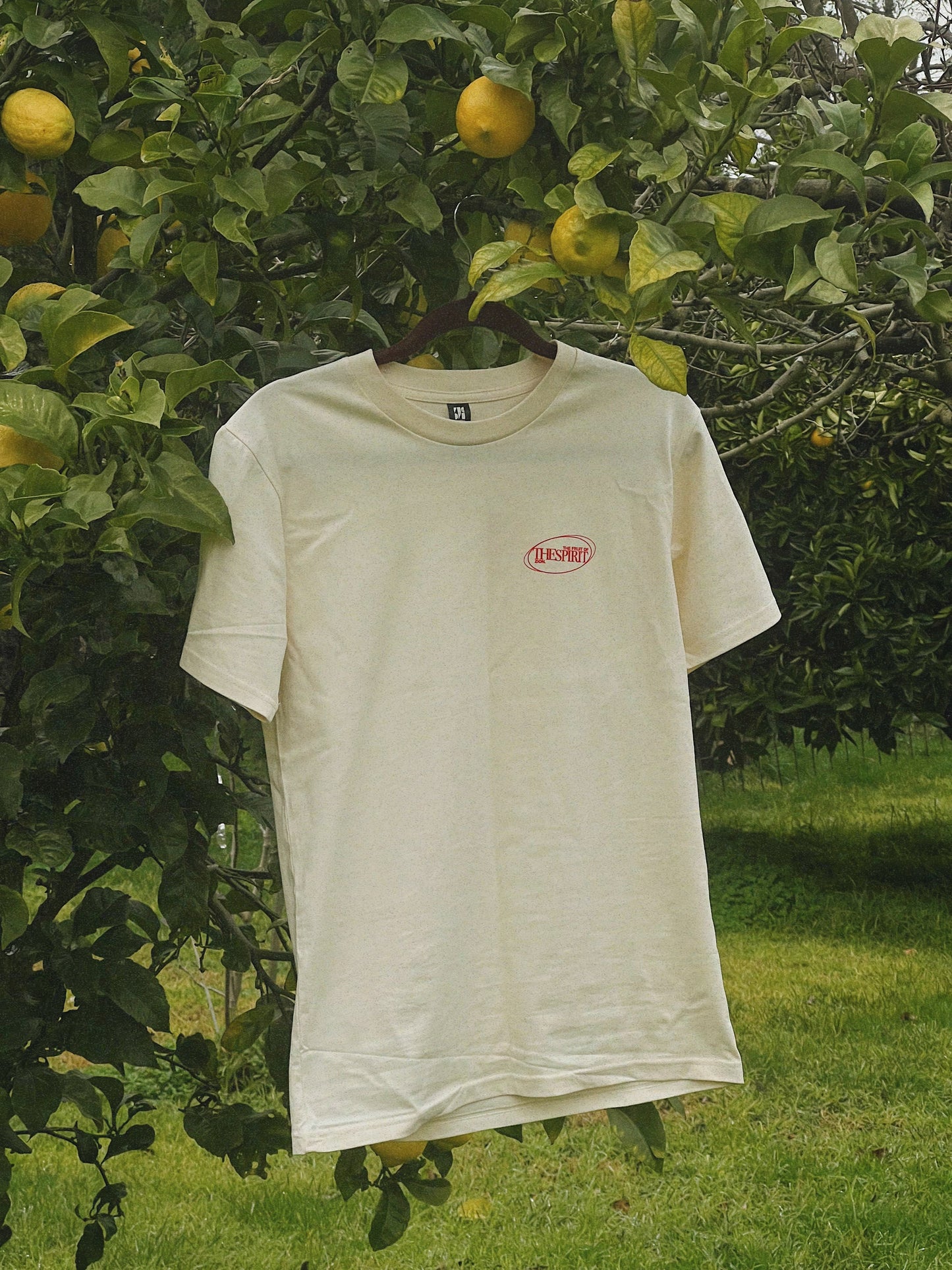 ‘fruits of the spirit’ - tshirt