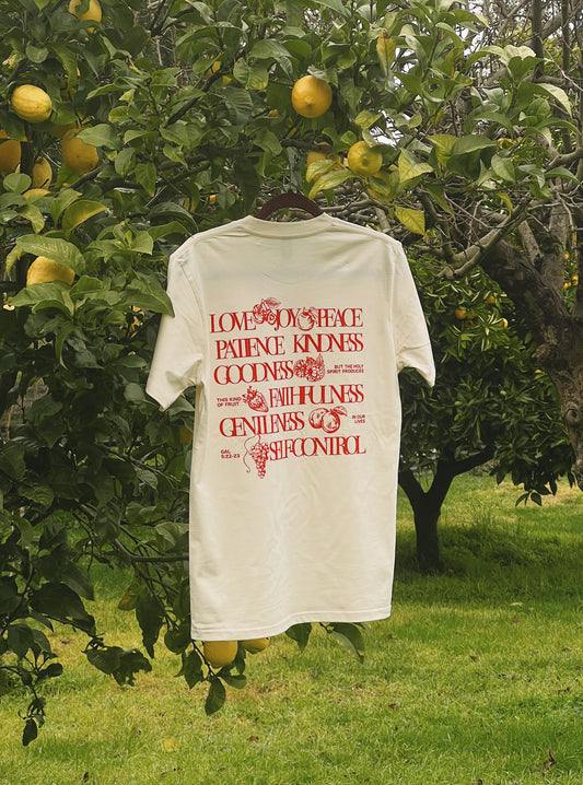 ‘fruits of the spirit’ - tshirt